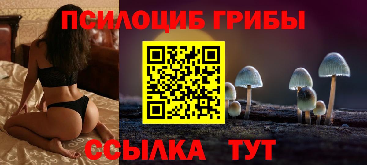 Тамбов  Псилоцибиновые грибы GOLDEN TEACHER  Вход с VPN 